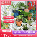 爱丽思（IRIS）花架塑料露台台阶花盆架子园艺用品阳台种菜盆支架花架落地式 WS-900灰三层宽90*高67*进深75