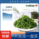 压缩海带丝 霞浦海带干货 高泡发火锅菜凉拌 22g*20片（无盐高泡发）