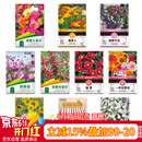 花沃里10款花种子套餐 花卉种子组合太阳花凤仙花向日葵四季种野花种籽