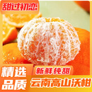 新鲜多汁云南高山沃柑薄皮生鲜水果整箱批发新鲜纯甜橙子橘子桔子 净重4.5-5斤【中大果60-70mm】