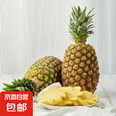 广东香水菠萝 徐闻菠萝新鲜水果非凤梨 果园直发整箱包邮 【尝鲜】1粒装菠萝 单果500g起