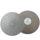 STRUERS 金刚石磨盘 MD-Piano 220# 300mm   40800131 单位:个