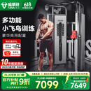 FANATICS疯拿铁小飞鸟综合训练器龙门架商用家用健身器材训练多功能一体机 FR-900P（150KG包胶配重）