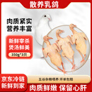 岽鲜新鲜乳鸽350g*3只 散养冷冻鸽子肉煲汤烧烤食材 源头直发 