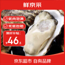 鲜京采【活鲜】生蚝净重5斤 5XL 9-12只左右 源头直发 露营烧烤