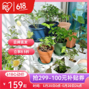 爱丽思（IRIS）花架塑料露台台阶花盆架子园艺用品阳台种菜盆支架花架落地式 FS900W白三层宽90*高60*进深54cm
