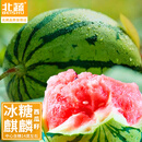 北蔬 西瓜种子种苗冰糖麒麟8424盆栽西瓜籽 冰糖麒麟瓜种子约50粒x3包