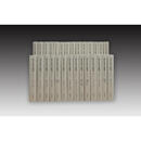 【官方正版】近代日本汉文文献丛刊（第一辑）全28册（复旦大学中外现代化进程研究中心资料系列） 精装 影印