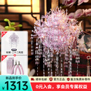 拼酷粉黛二十二凤冠 粉冠粉红色凤冠 3d立体拼图七夕情人节礼物送女友 粉黛二十二凤冠+粉色工具套装