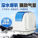 Yasunaga Y安永鱼池增氧泵氧气泵超静音打氧机养鱼充氧泵充氧机日本原装进口 AP100（99W适合20吨2米水深）单泵