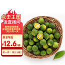 京鲜生 海南小青柠 净重1斤  生鲜水果