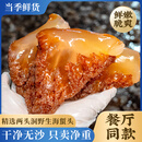 鲜喜利海蜇头特级舟山野生5斤桶装凉拌商用海鲜活生腌新鲜水产即食盐渍 【净重5斤】大号花海蜇头