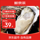 鲜京采【活鲜】生蚝净重5斤 5XL 9-12只左右 源头直发 端午聚餐