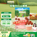 爷爷的农场益生元山楂棒宝宝儿童零食72g 山楂肉棒儿童零食 出行零食