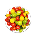 【水果菜】多彩便当番茄1kg