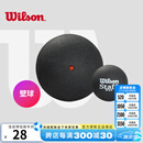 威尔胜（Wilson）专业比赛壁球初学训练蓝点红点双黄点罐装壁球 【单颗1红点】WRT617200