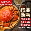 【活蟹】湖鲜阳澄 大闸蟹 去绳足重 2.3-2.6两 10只 鲜活六月黄现货超大螃蟹生鲜礼盒装