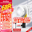 神牛（Godox）ML100Bi摄影灯双色温可调便携夜拍灯人像补光灯户外控制室电影视频摄像灯  ML100Bi【官方标配】