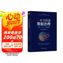 一本书讲透数据治理：战略、方法、工具与实践（精装）