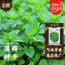 北蔬 薄荷种子种苗四季播种盆栽可食用香草种籽 卓脆香薄荷种子1000粒