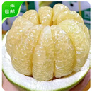 京鲜生 泰国青柚 青皮白心蜜柚 1粒装 单果600g+ 源头直发包邮