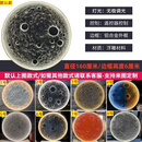 惠利得3D立体浮雕月球灯壁灯户外网红酒馆餐厅背景墙软装石膏月亮壁挂灯 160厘米直径（三色无极调光+遥控