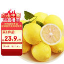 京鲜生 安岳黄柠檬 8粒 单果95-120g 生鲜水果