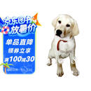 马利与我 Marley & Me [Audio CD] 进口原版