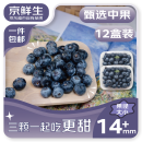 京鲜生 国产蓝莓 12盒14mm+装 125g/盒 生鲜水果 源头直发 包邮