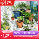 爱丽思（IRIS）花架塑料露台台阶花盆架子园艺用品阳台种菜盆支架花架落地式 FS760W白三层宽75*高60*进深54cm