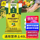 史丹利（STANLEY）营养土40L大包装营养土养花专用通用型花土种菜种花土壤