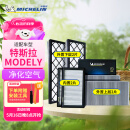米其林（MICHELIN）空调滤芯特斯拉model y汽车空调滤清器全套(适配特斯拉Modely) 