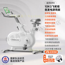 立久佳（lijiujia）动感单车家用智能自发电健身器材室内自行车 全家通用-10KG飞轮组-游戏竞速