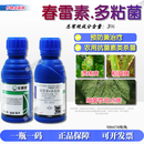 先正达乐惠健3%春雷霉素多粘菌柑橘溃疡病水稻瘟病细菌性斑点病杀菌剂 500ml*20瓶/箱