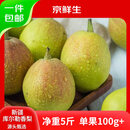 京鲜生 新疆库尔勒香梨 净重5斤 单果100g-120g 新鲜水果 源头直发