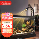 燕之雁 南美缸射灯 水陆雨林缸三色可调焦射灯 鱼缸照明水草灯 3w