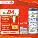 青岛啤酒（TsingTao）精酿白啤 全麦酿造 11度 500ml*12听 整箱装 端午节送礼