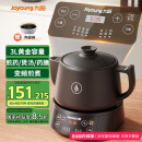 九阳（Joyoung）养生壶煎药壶中药锅中药壶熬药罐 3升分体式陶瓷烧水壶家用药膳煲3003BQ