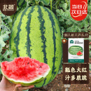 北蔬 大西瓜种子种苗秧南北方四季盆栽种籽 懒汉甜王西瓜种子约20粒