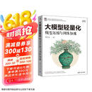 大模型轻量化：模型压缩与训练加速