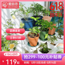 爱丽思（IRIS）花架塑料露台台阶花盆架子园艺用品阳台种菜盆支架花架落地式 FS760W白三层宽75*高60*进深54cm