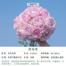 天狼月季庭院阳台盆栽玫瑰蔷薇好养花卉新手推荐耐寒耐热绿植花苗 【返场】露凝香 2.8升扦插