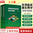 【正版包邮】实用临床微生物学检验与图谱上下册 陈东科 病原微生物技术方法病原体流行病学分析病毒细菌真菌医院感染 人民卫生出版社