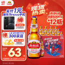 燕京啤酒 U8小度酒500ml*12瓶  新老包装交替发 心动购物 端午送礼