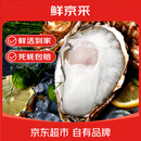 鲜京采 鲜活生蚝4XL 净重5斤 10-13只 生鲜海鲜 中秋聚餐 源头直发