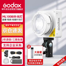 神牛（Godox）ML100Bi摄影灯双色温可调便携夜拍灯人像补光灯户外控制室电影视频摄像灯  ML100Bi【官方标配】