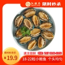 江船长 冷冻鲍鱼 净重160g(18-22粒)袋装 火锅烧烤食材 海鲜生鲜