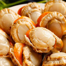 福字号【大连海鲜】冷冻栉孔扇贝肉带卵1000g火锅食材40-60规格