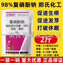 郑氏化工98%复硝酚钠原粉植物生长调节剂保花葆果农药增效促生长 1kg