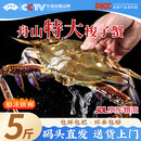 昌鲜园舟山梭子蟹鲜活冷冻7-9两/只5斤装野生大螃蟹海鲜水产源头直发包邮